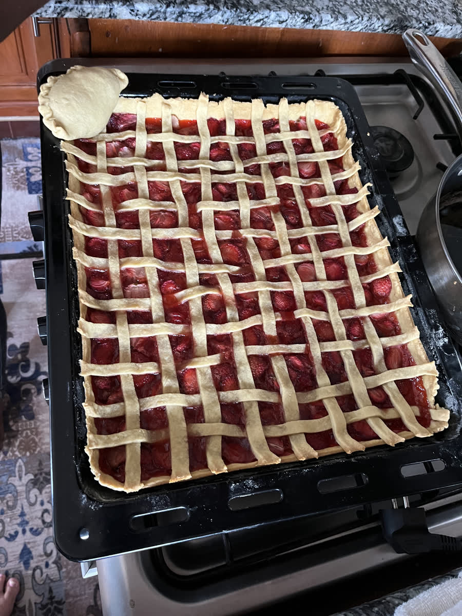 A lattice topped tart in a large roasting tray, fresh from the oven.